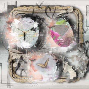 NBK Focus Soft Butterflies And Neutrals