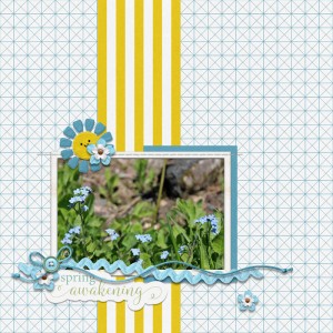 Spring Awakening