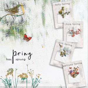 Spring has sprung