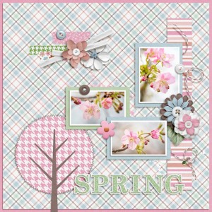 March 2025 Template Challenge