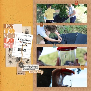 All About Bugs