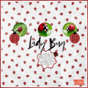 Lady Bugs