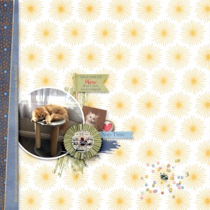 04-02_SD_PurrrfectFriends_SOSN_Nero