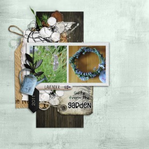 Lavender Ring