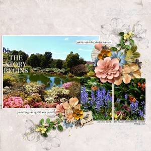 SPRING - THE STORY BEGINS