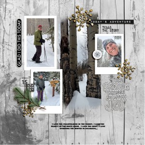 2025-3-15-snow-shoeing-frisco_600web