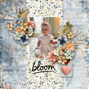 Gallery-Bloom