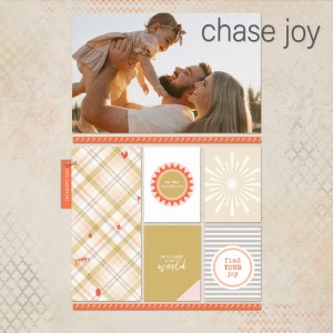 Chase-joy