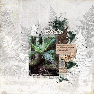 SOLITUDE