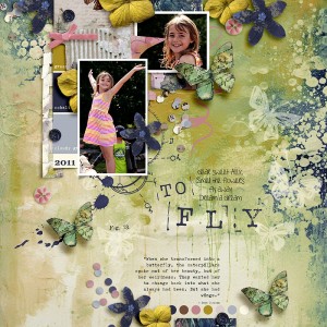 2011-To-Fly