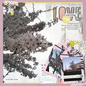 Twilight Blossom