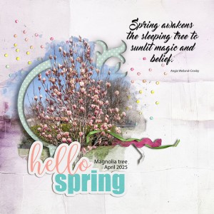 Hello-spring