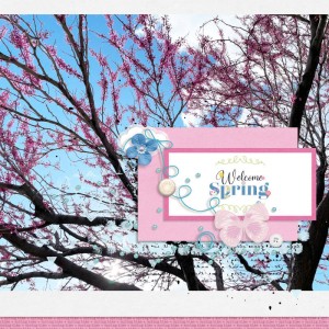 Welcome Spring