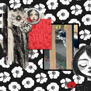 Slow Scrap_Apr16_janisn