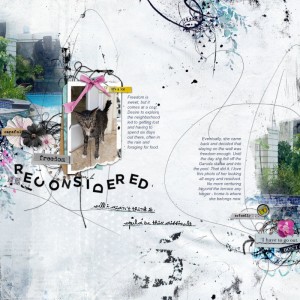 Freedom Reconsidered
