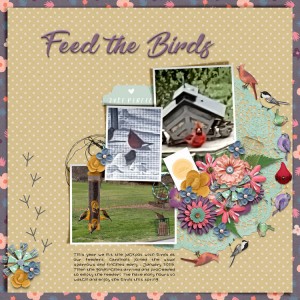 Feed-the-birds