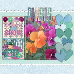Pansies