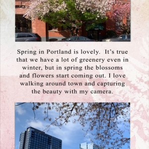 Portland Tree Blossoms