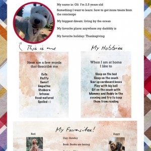 All About Oli