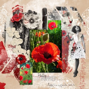 Poppies In The Garden.jpg Klein