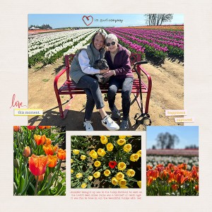 Tulip Festival With Mom