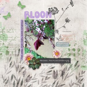 Botanical-Bliss