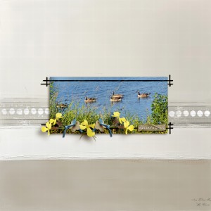 Summer's-Grace