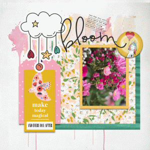 Bloom