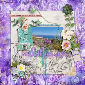 Wildflowers