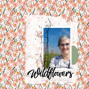 2025-04-11_Wildflowers