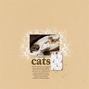 Cats