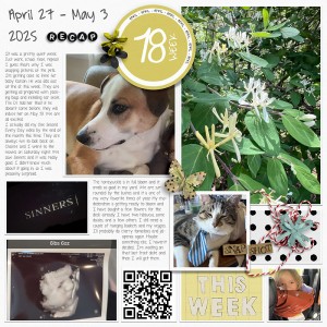 2025 | Week-18