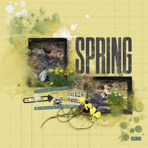 2025-4-11-daffodil-cutting_600web