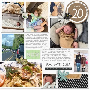 2025 | Week-20