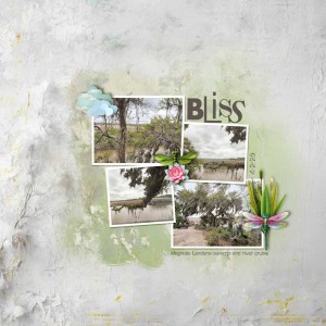 Bliss