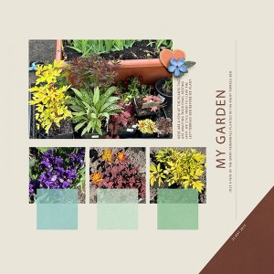 My Garden