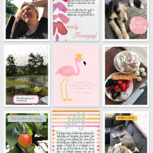 EHStudio-Soco-Flamazing-annsofie-800b