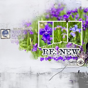 2025-5-27-iris_600web
