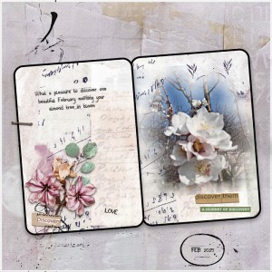 Almond Tree