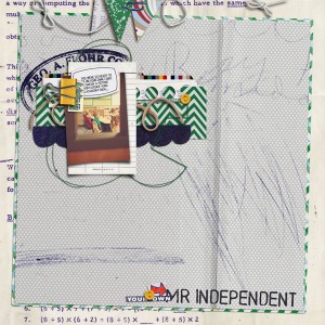 Mr Independent