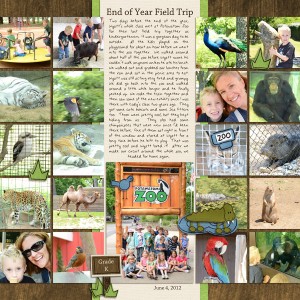 Zoo Field Trip