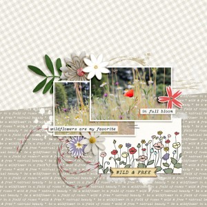 May 2025 Slow Scrap