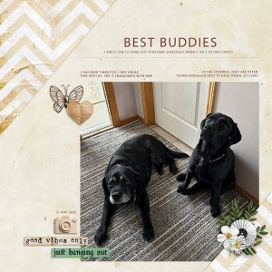 Best Buddies