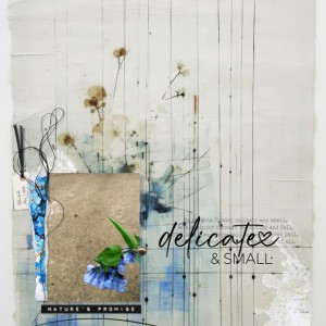 White-Space-Photo