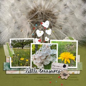 2025-06-01-template-may-flowers