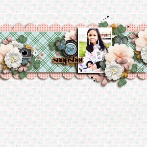 snapshot