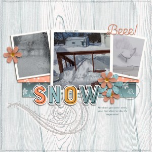 January-snowfall