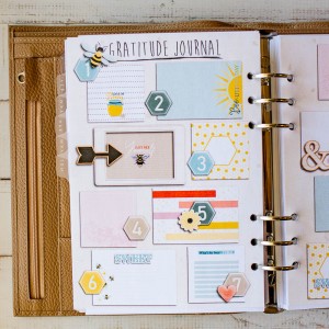 June Gratitude Journal