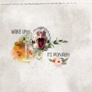 Wake-Up It's Monday