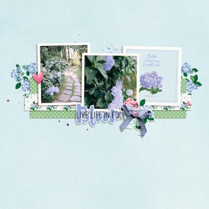 Hydrangeas v.1